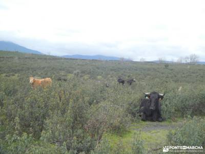 Pueblos Negros de la arquitectura negra - Sierra Norte de Guadalajara; excursiones por guadalajara s